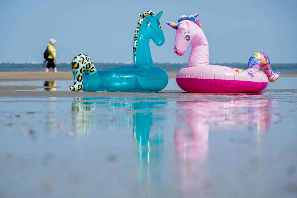 Echt heiß: Aufblasbare Schwimmtiere liegen bei schönstem Sommerwetter am Nordstrand der Insel Norderney. - Foto: Hauke-Christian Dittrich/dpa