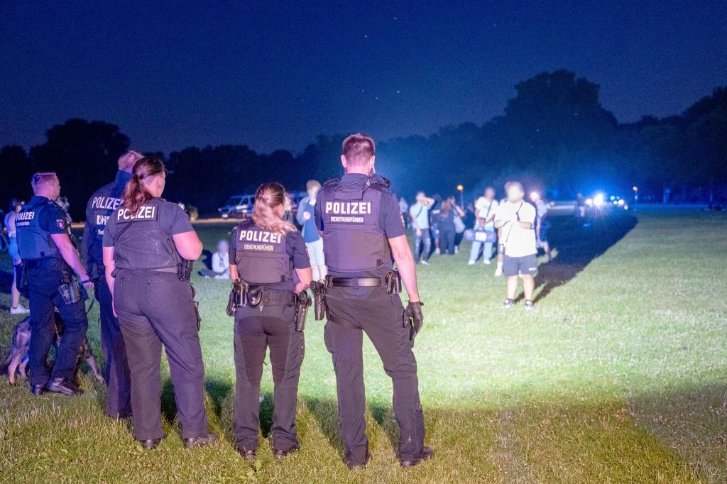 Einsatzkräfte der Polizei und Jugendliche stehen sich im Hamburger Stadtpark gegenüber. - Foto: Rene Schröder/NEWS5/dpa