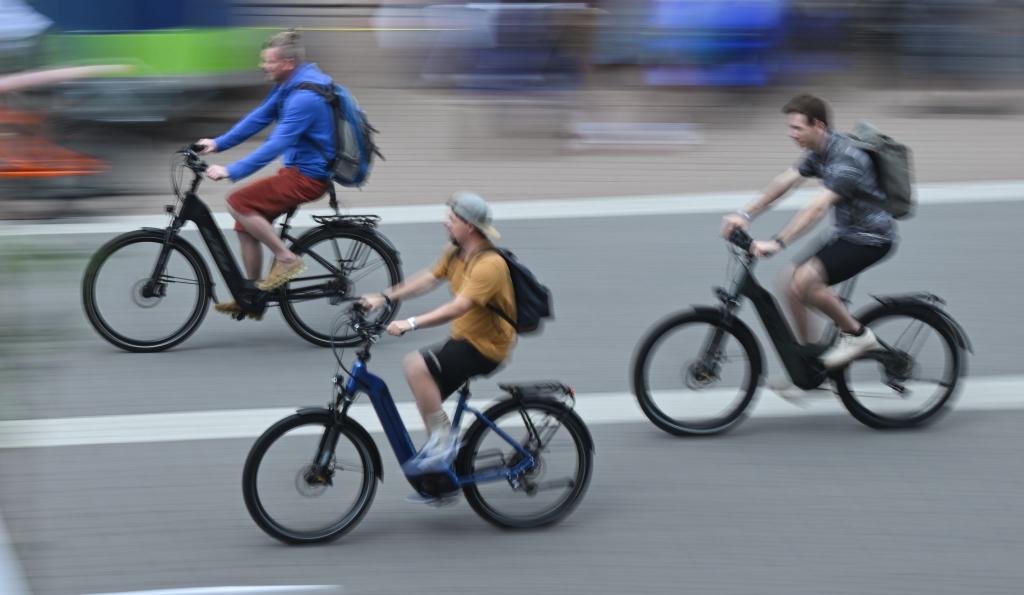 E-Bikes dominieren den deutschen Fahrradmarkt. (Archivbild) - Foto: Arne Dedert/dpa