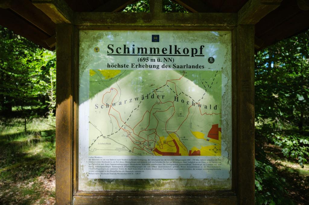 Jahrzehntelang war der Schimmelkopf die höchste natürliche Erhebung des Saarlandes. - bis 2005 neue, präzisere Messungen kamen. - Foto: Oliver Dietze/dpa