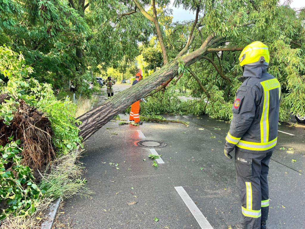 Am späten Nachmittag und Abend ziehen Unwetter über Teile Deutschlands. - Foto: Jens Dudziak/dpa