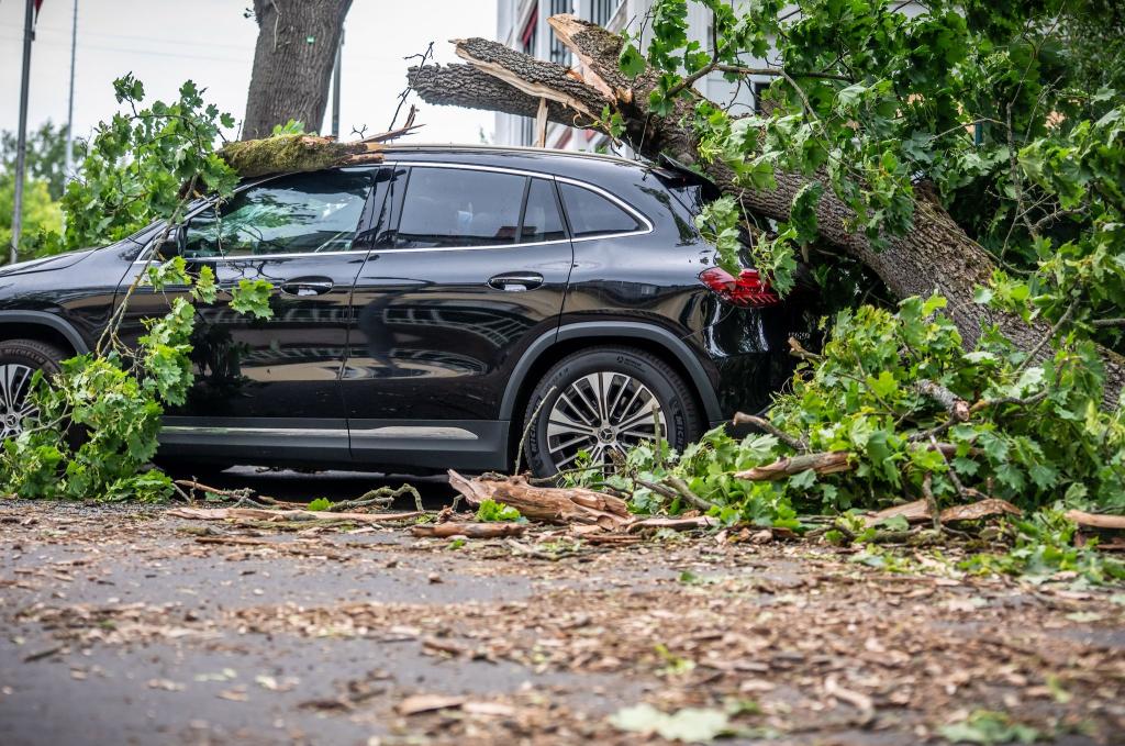 In Berlin führte jüngst ein Sturm zu zahlreichen Schäden. Eine Frau starb. - Foto: Michael Kappeler/dpa