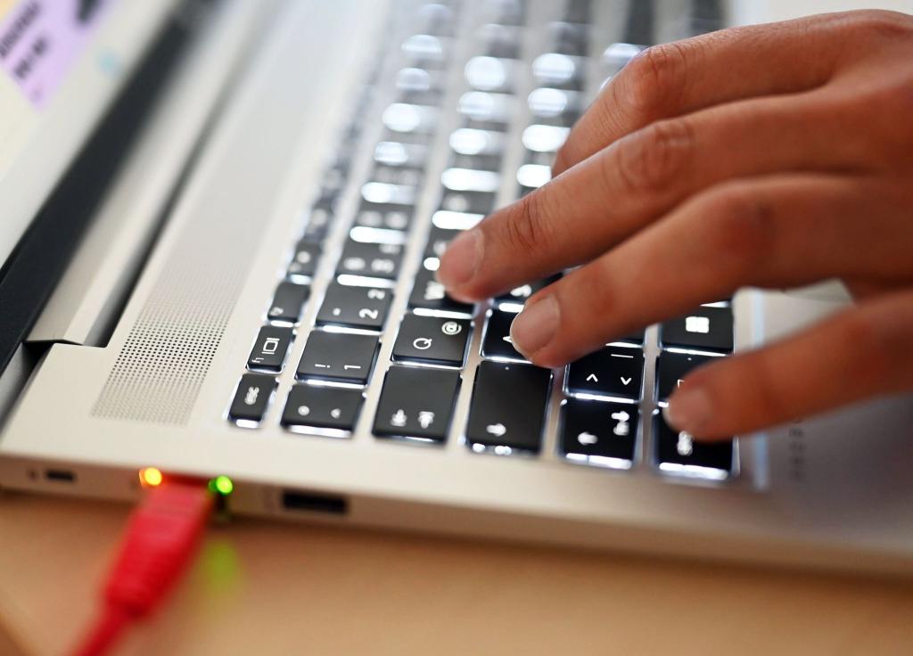 Die Wirtschaft muss ihren Personalbedarf in der Informationstechnologie mehr und mehr aus dem Ausland decken (Archivbild). - Foto: Uli Deck/dpa