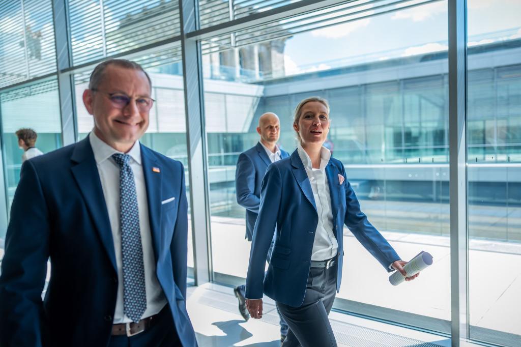 Die AfD-Chefs Tino Chrupalla (l.) und Alice Weidel können sich über einen spürbaren Anstieg ihrer Monatseinkünfte freuen. (Archivbild) - Foto: Michael Kappeler/dpa