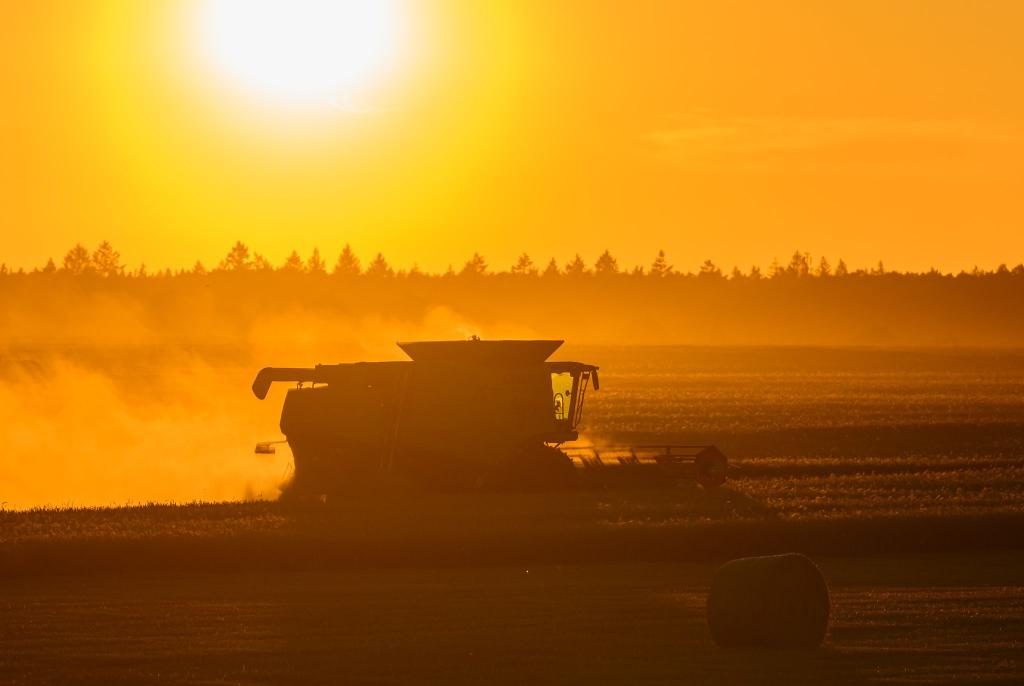 Am Dienstag kommt Deutschland dem Höhepunkt der laufenden Hitzewelle immer näher. - Foto: Patrick Pleul/dpa