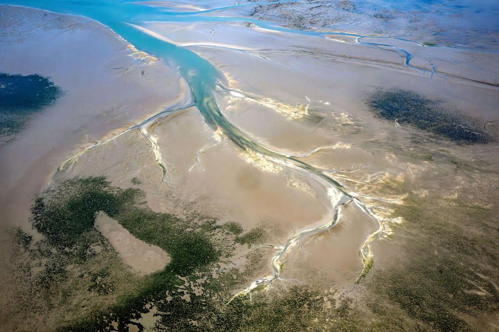 Ein Forschungsteam hat untersucht, wie sich das Wattenmeer verändert hat. (Archivfoto) - Foto: Sina Schuldt/dpa