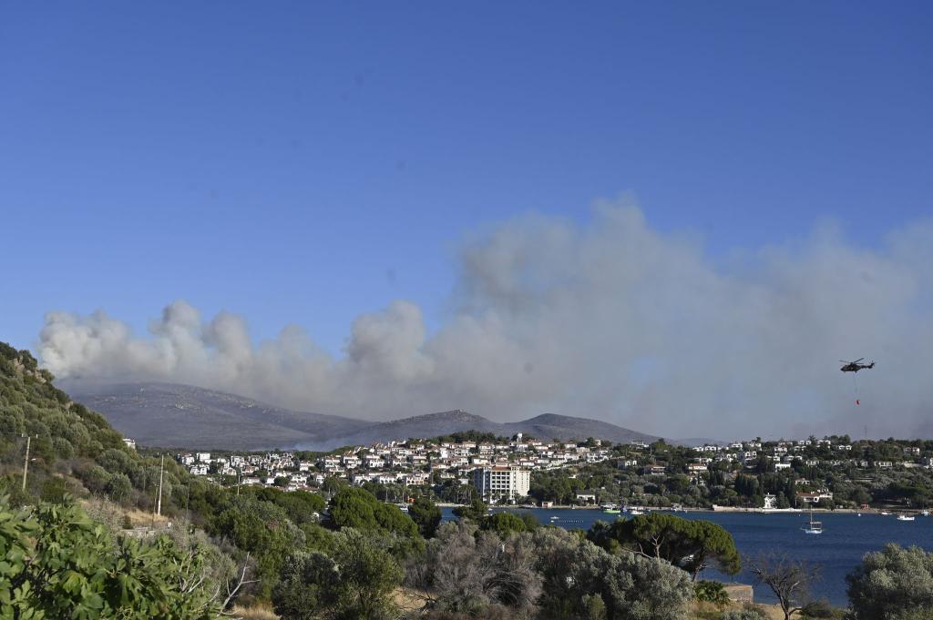 Das auf einem Acker ausgebrochene Feuer soll sich durch starken Wind auf umliegende Büsche und Wälder ausgebreitet haben. - Foto: Anne Pollmann/dpa