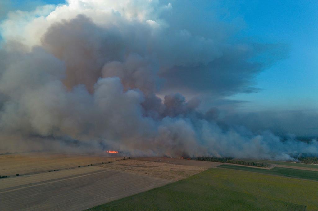 Schon früher gab es hier große Brände: die Gohrischheide zwischen Sachsen und Brandenburg. - Foto: Daniel Wagner/dpa