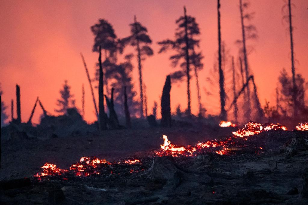 Der Waldboden brennt in einem Waldstück der Saalfelder Höhe. - Foto: Daniel Vogl/dpa