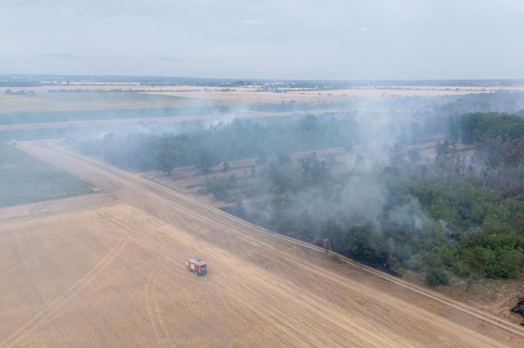Wegen des Waldbrands in der Gohrischheide wurde Katastrophenalarm ausgelöst. - Foto: Sebastian Kahnert/dpa