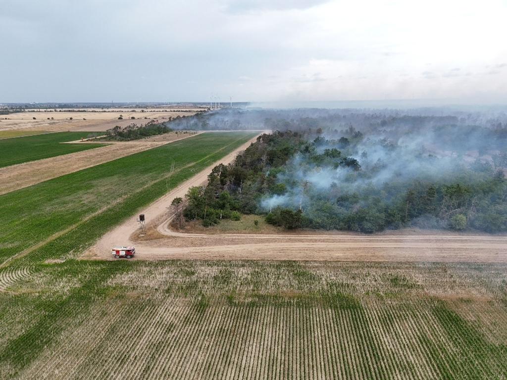 Wegen des Waldbrands in der Gohrischheide wurde Katastrophenalarm ausgelöst. - Foto: Sebastian Kahnert/dpa