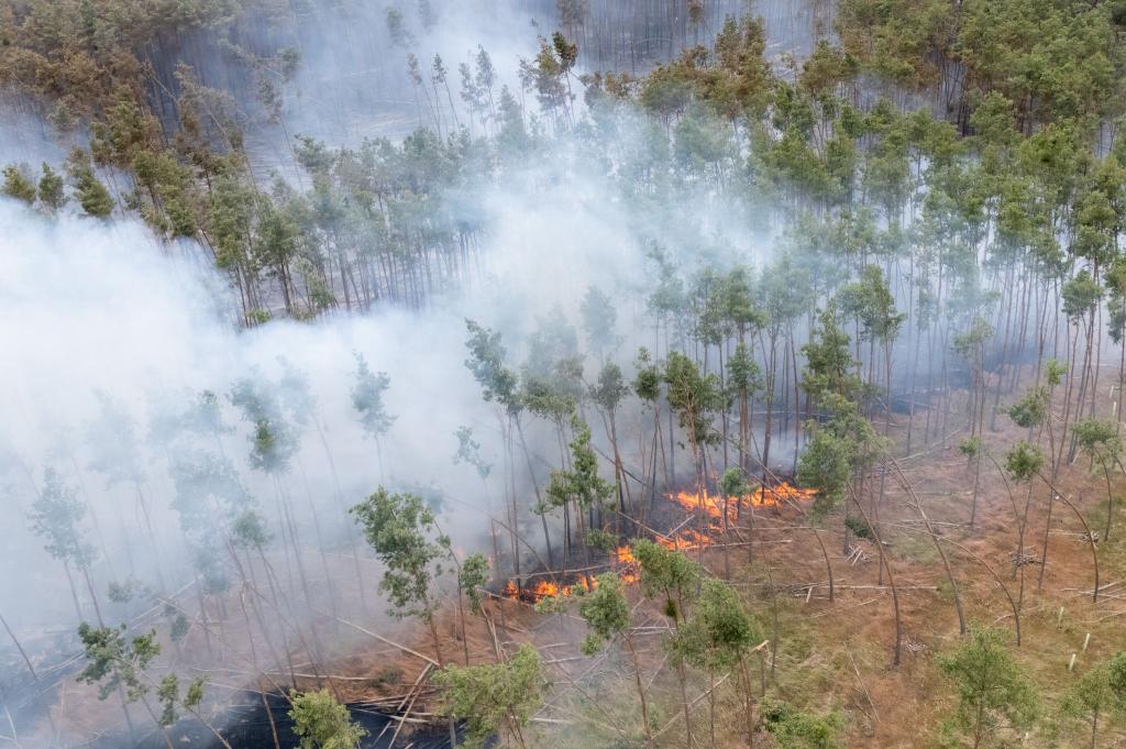 Ein Feuer brennt bei einem Wald- und Vegetationsbrand in der Gohrischheide im Landkreis Meißen. - Foto: Sebastian Kahnert/dpa