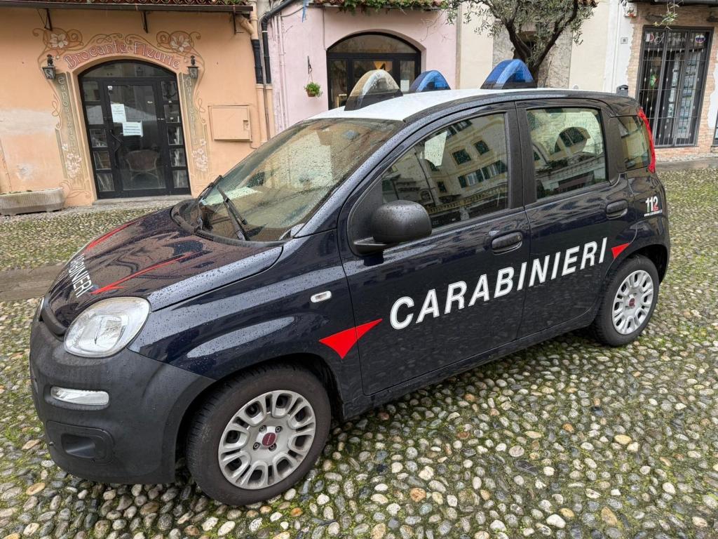 Die niederländischen Eltern der Jungen sollen in der Bundesrepublik gelebt haben, bevor sie nach Italien zogen. (Symbolbild) - Foto: Robert Messer/dpa