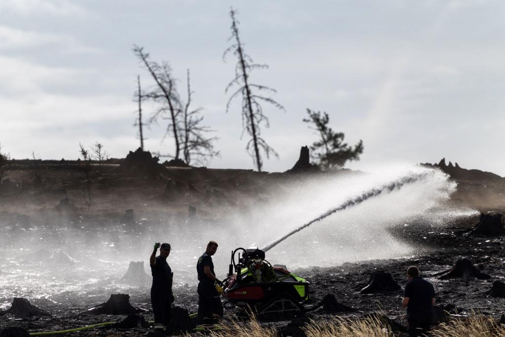 Feuerwehrleute bekämpfen versteckte Glutnester beim Waldbrand auf der Saalfelder Höhe. - Foto: Michael Reichel/dpa
