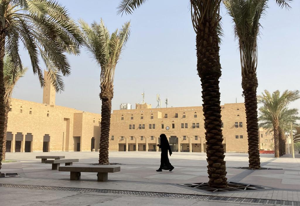 Viele Hinrichtungen in Saudi-Arabien werden nach Verurteilungen bei Drogendelikten vollstreckt. - Foto: Johannes Sadek/dpa