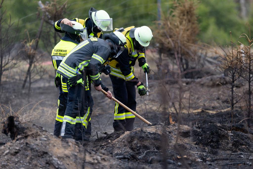 Versteckte Glutnester werden die Feuerwehrleute noch einige Tage nach dem Waldbrand auf der Saalfelder Höhe beschäftigen. - Foto: Michael Reichel/dpa