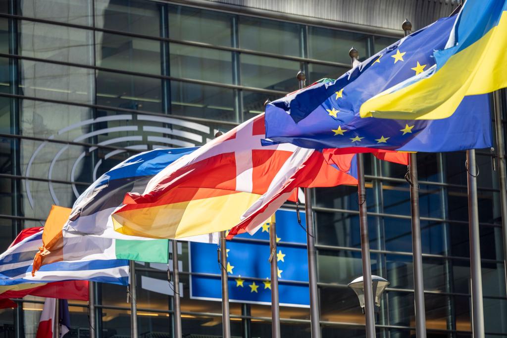 Die frühere Rechtsaußen-Fraktion ID im Europäischen Parlament soll rund 4,3 Millionen Euro aus EU-Geldern missbräuchlich verwendet haben (Archivbild). - Foto: Thomas Banneyer/dpa