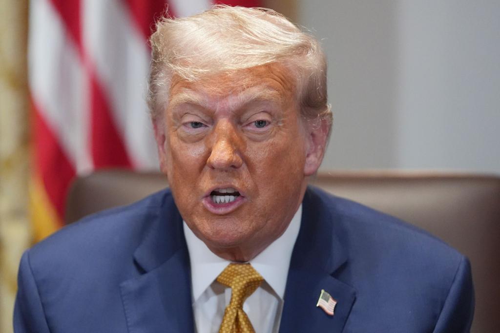 Trump wirft Putin vor, eine Menge Blödsinn zu erzählen. - Foto: Evan Vucci/AP/dpa