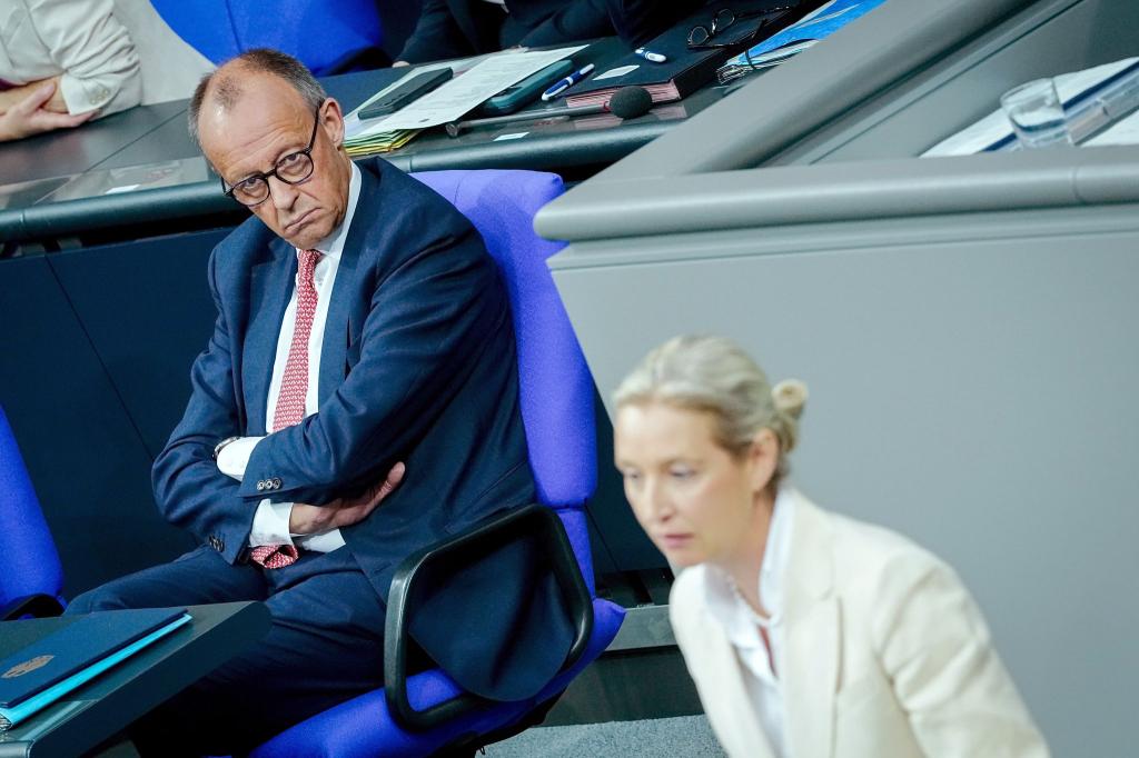 Merz und Weidel liefern sich einen heftigen Schlagabtausch. - Foto: Kay Nietfeld/dpa