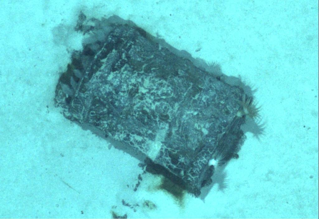 Die Forschenden untersuchten etwa 50 Atommüll-Fässer anhand von Fotos. - Foto: -/Flotte Océanographique Française/dpa