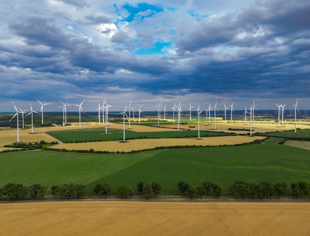 Nie zuvor wurden so viele neue Windräder in Deutschland genehmigt. - Foto: Patrick Pleul/dpa