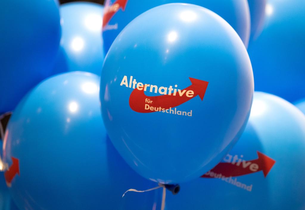 Dürfen AfD-Mitglieder in Rheinland-Pfalz nicht in den öffentlichen Dienst übernommen werden? Das wird letztlich im Einzelfall entschieden. (Symbolbild) - Foto: Monika Skolimowska/dpa-Zentralbild/dpa