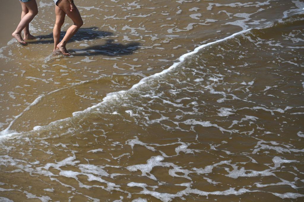 Mit der sommerlichen Hitze steigt das Risiko für Vibrionen-Infektionen an Nord- und Ostsee. - Foto: Stefan Sauer/dpa/dpa-tmn