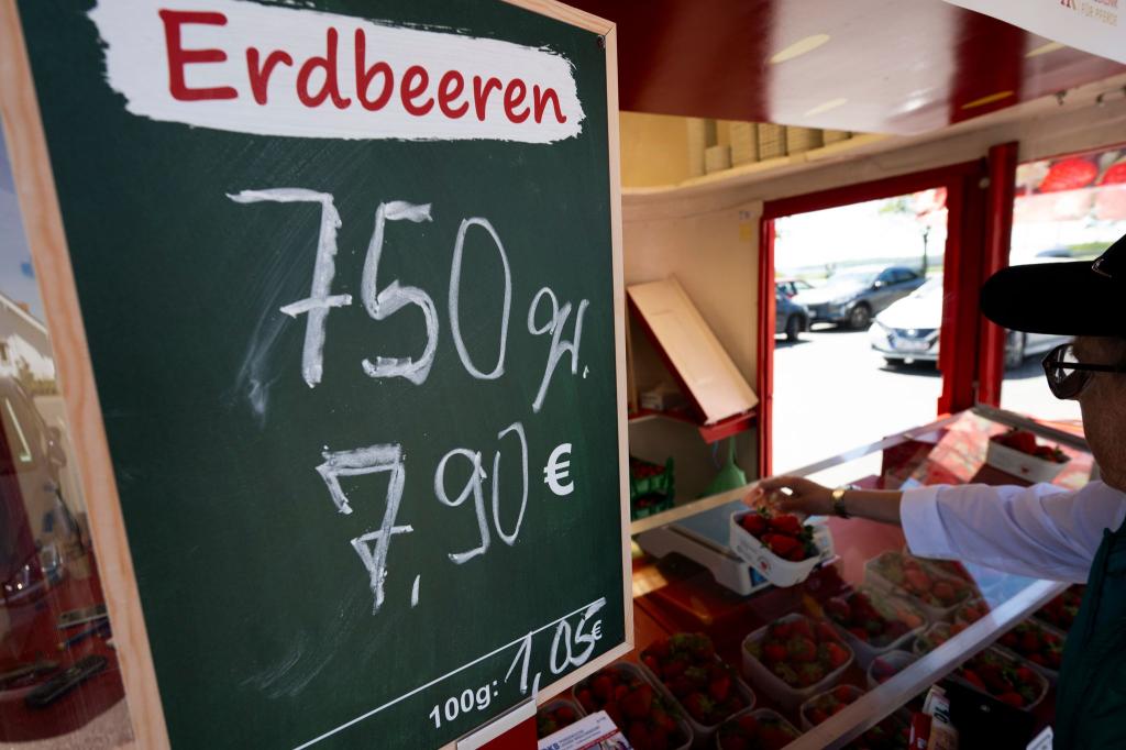 Krumme Packungsgrößen, hohe Preise: Erdbeeren in der Saison 2025. - Foto: Philip Dulian/dpa