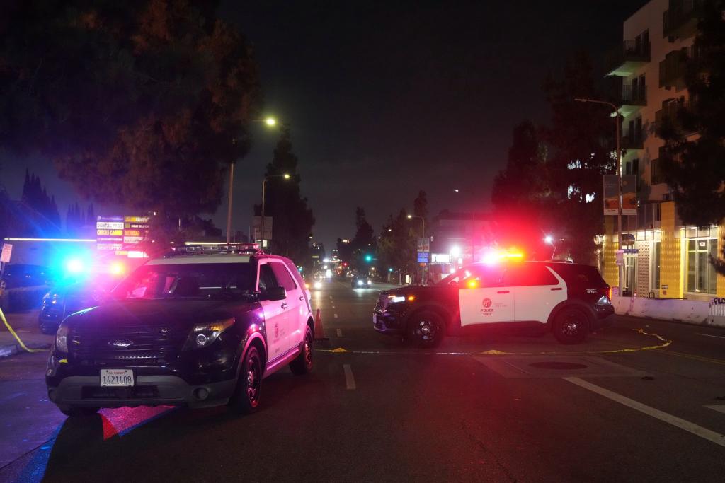 Viele Menschen wurden verletzt, als ein Auto vor einem Club in Hollywood in die Menge fuhr. - Foto: Damian Dovarganes/AP/dpa