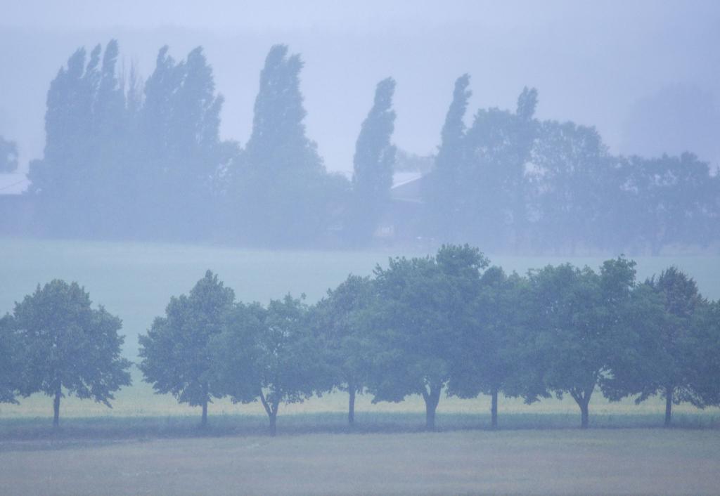 Im Nordosten Deutschlands wird heftiger Regen erwartet. (Archivbild) - Foto: Jens Büttner/dpa