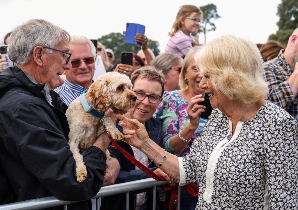 Königin Camilla begrüßt einen Hund und seinen Besitzer während eines Besuchs der Sandringham Flower Show in Sandringham House in Norfolk. - Foto: Chris Radburn/PA Wire/dpa