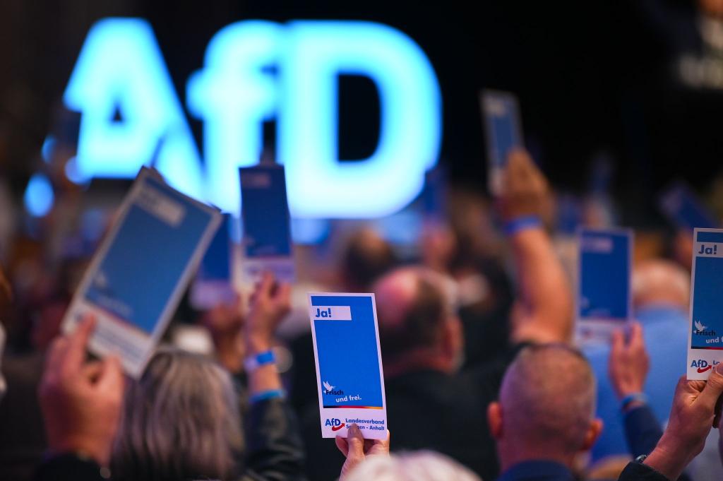 Die AfD will ihre neue Jugendorganisation stärker an sich binden. (Archivbild) - Foto: Heiko Rebsch/dpa