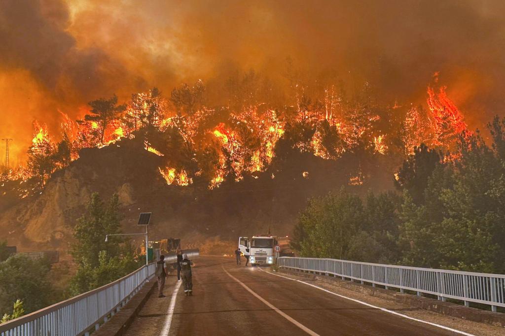 In mehreren türkischen Provinzen brennen derzeit Wälder. - Foto: Ridvan Bostanci/IHA/AP/dpa