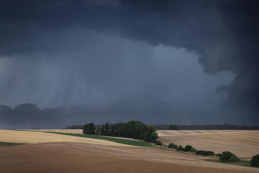Gewitter und Regen werden vor allem im Süden und Osten Deutschlands erwartet. (Symbolbild) - Foto: Karl-Josef Hildenbrand/dpa