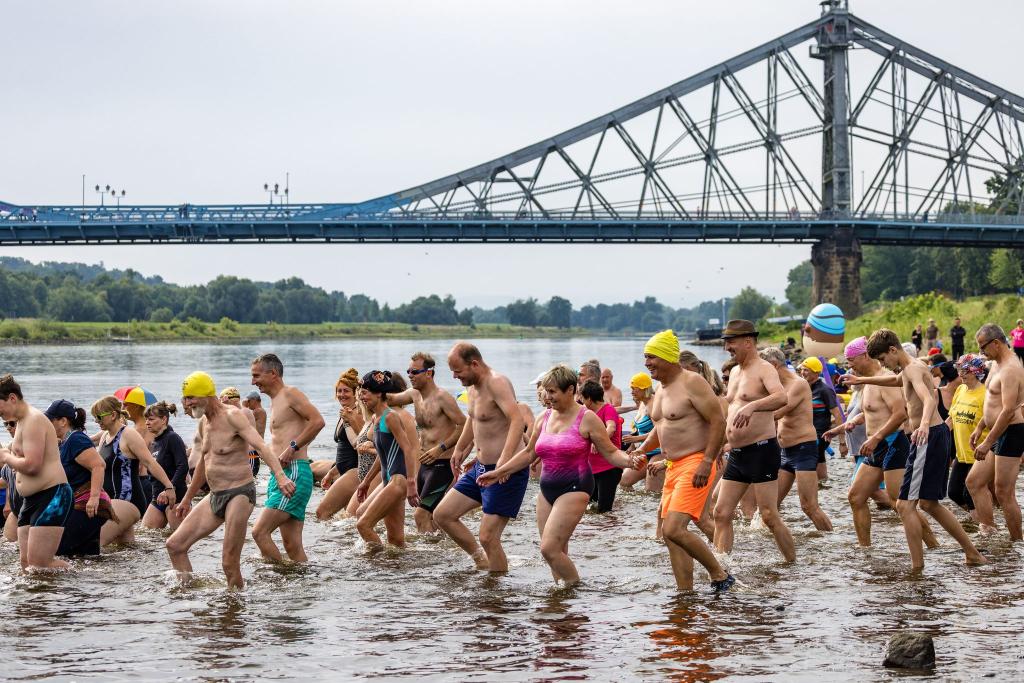 Hunderten Menschen machen beim Elbeschwimmen mit. - Foto: Frank Hammerschmidt/dpa