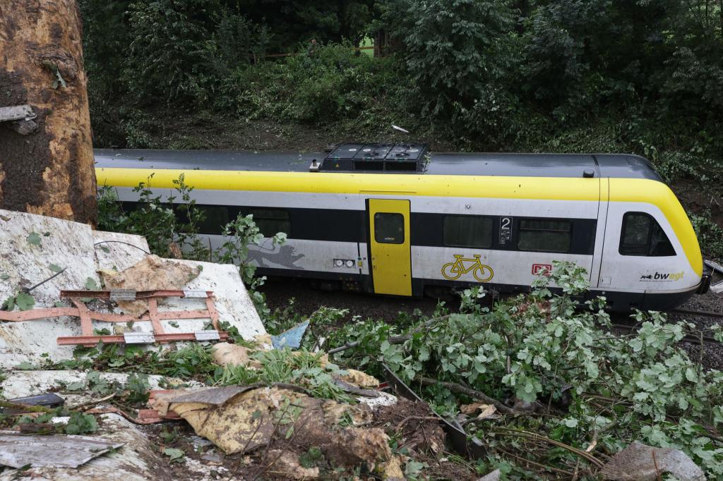 Der Zug entgleiste bei Riedlingen. - Foto: Thomas Warnack/dpa