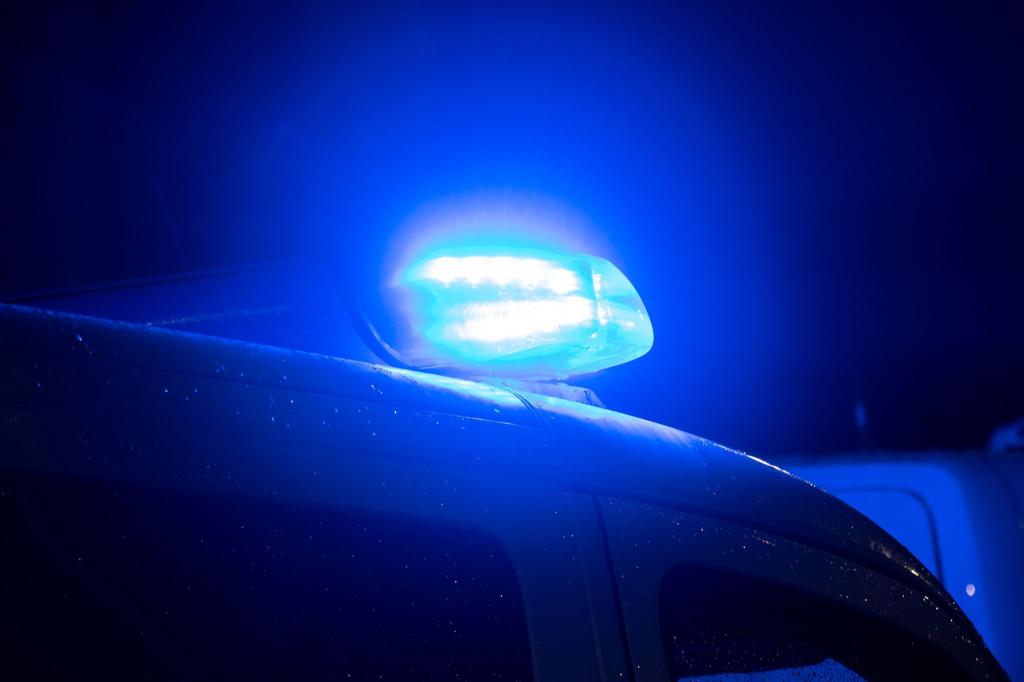 Die Polizei sammelte den 14-Jährigen ein. (Symbolbild) - Foto: Sarah Knorr/dpa