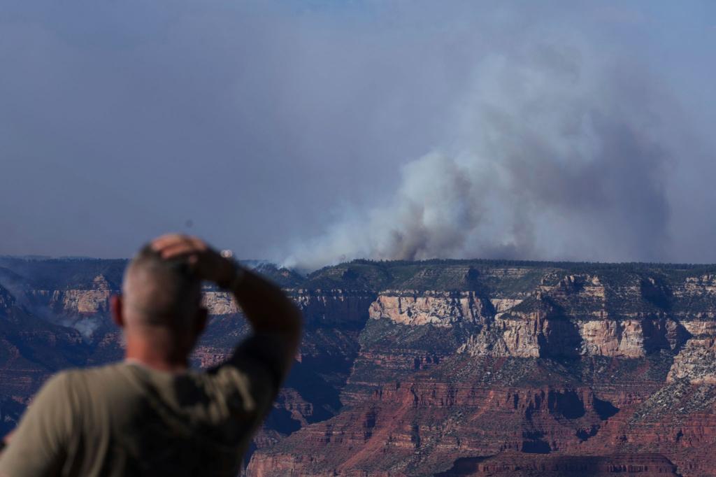 Der Grand-Canyon-Nationalpark an der US-Westküste ist bei Touristen beliebt. - Foto: Jon Gambrell/AP/dpa