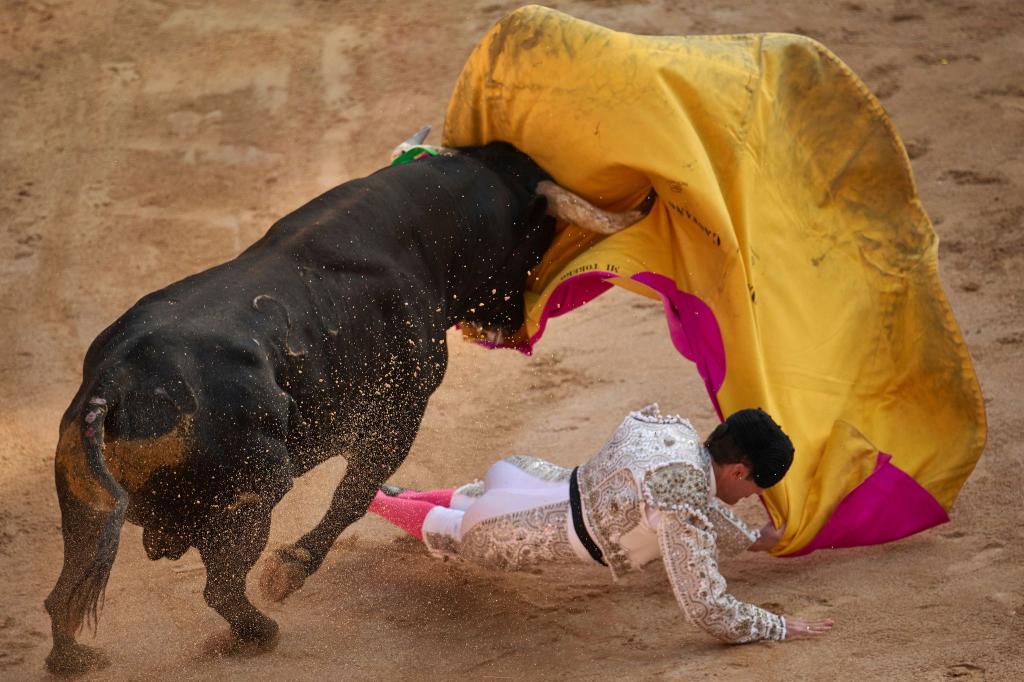 Stierkampf ist in Spanien ein geschütztes Kulturgut. (Archivbild) - Foto: Miguel Oses/AP/dpa