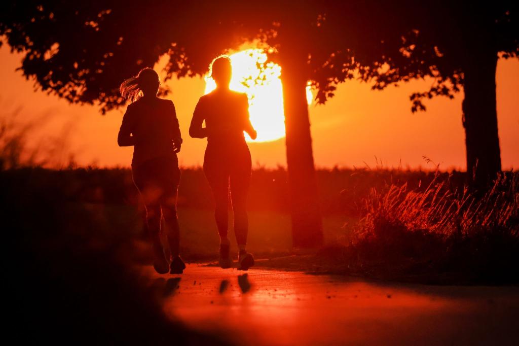 Zur Wochenmitte soll es wieder sommerlich werden. Viel Sonne und Temperaturen bis 29 Grad. Allerdings nicht in allen Teilen Deutschlands. (Symbolbild) - Foto: Thomas Warnack/dpa