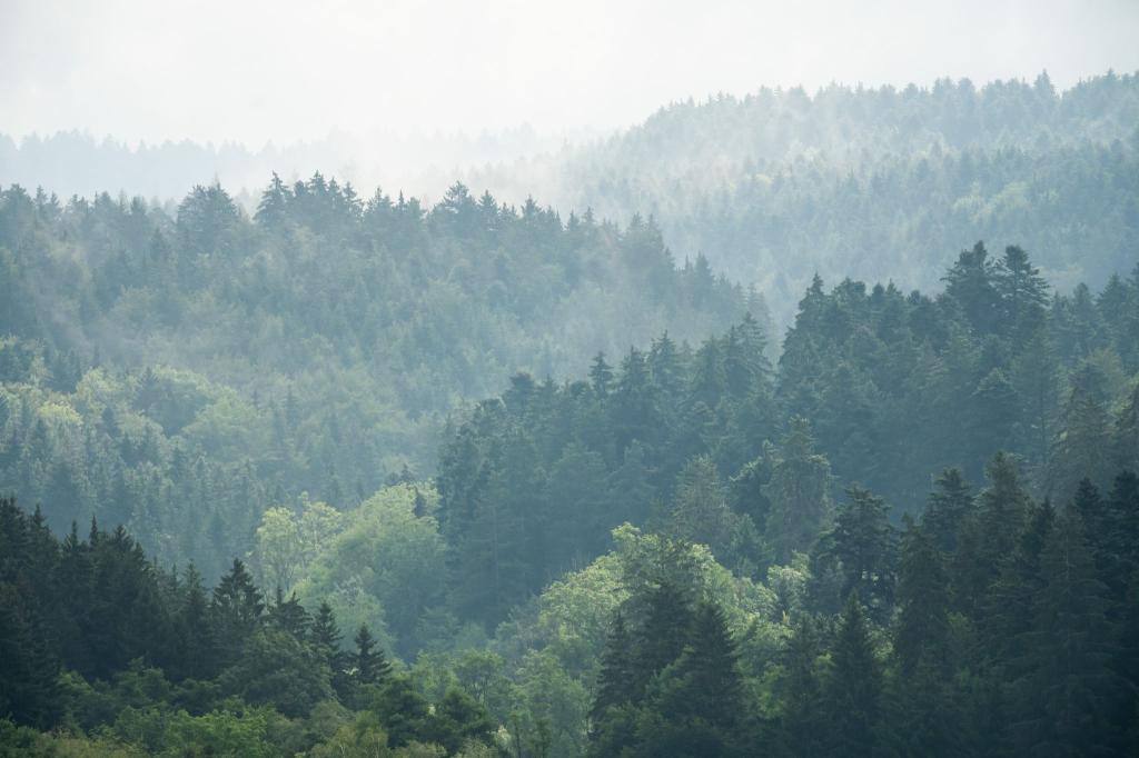 Zur Wochenmitte hat das verregnete Wetter voraussichtlich ein Ende. - Foto: Silas Stein/dpa