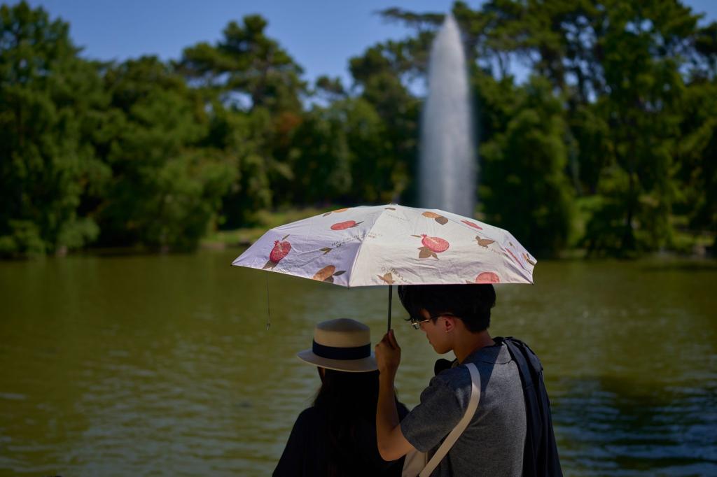 Trotz der Hitze mit Temperaturen von bis zu 39 Grad zog es viele Madrilenen und Touristen auf die Straßen der Hauptstadt. - Foto: Manu Fernandez/AP/dpa