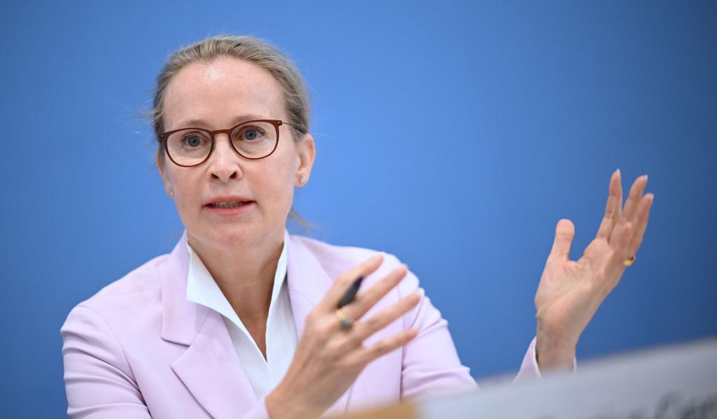 Die Juristin Frauke Brosius-Gersdorf steht nicht mehr für das Amt als Richterin am Bundesverfassungsgericht zur Verfügung. (Archivbild) - Foto: Britta Pedersen/dpa