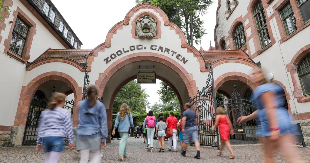 Drei Tigerbabys wurden eingeschläfert. (Symbolbild) - Foto: Jan Woitas/dpa-Zentralbild/dpa