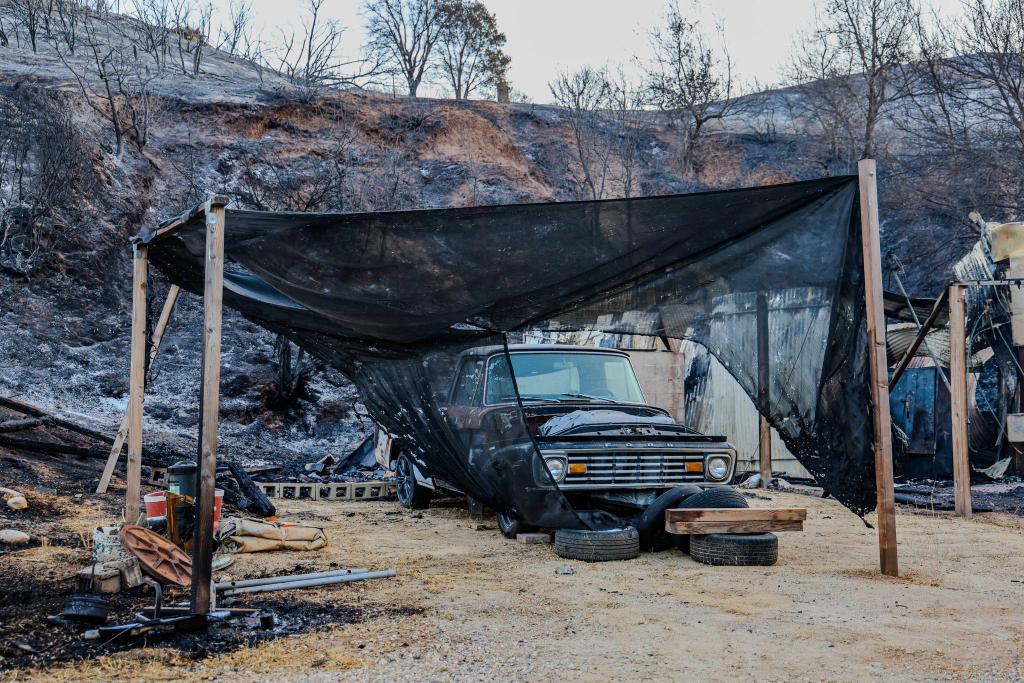 Das «Canyon Fire» zerstörte nach Angaben der Behörden mindestens sieben Gebäude. - Foto: Amy Katz/ZUMA Press Wire/dpa