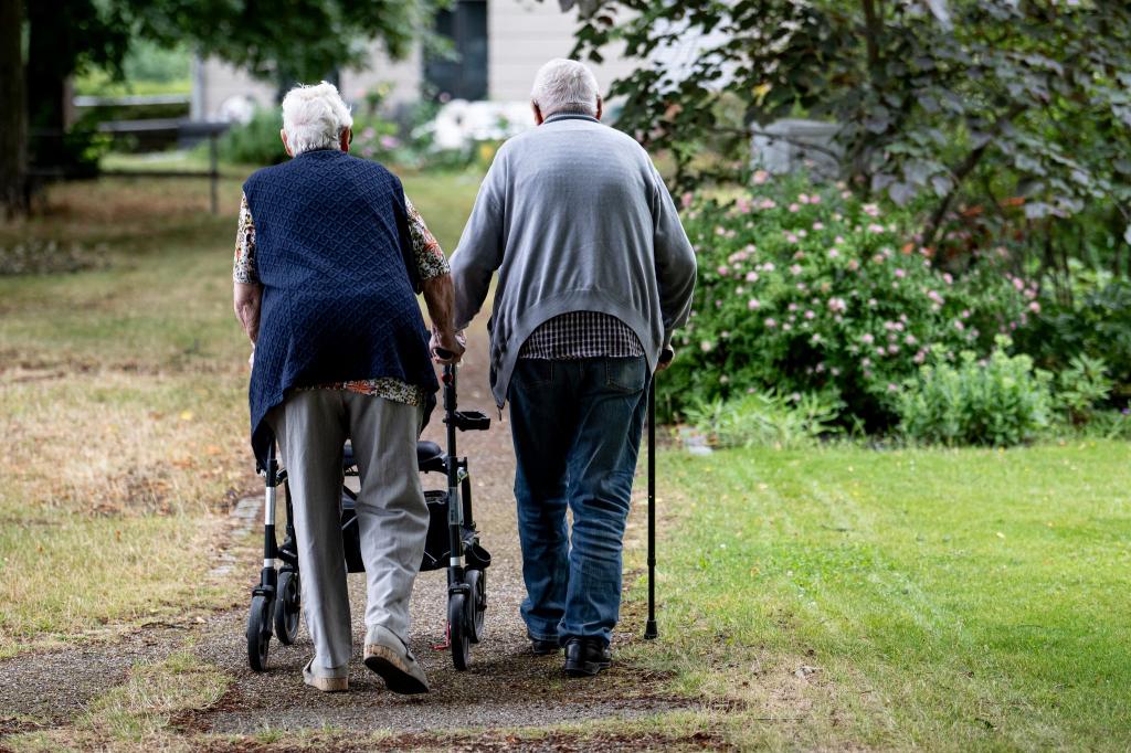 Irgendwann geht es für viele mit Arthrose nicht mehr ohne - nicht ohne Schmerzen, nicht ohne Gehilfe. (Symbolbild) - Foto: Fabian Sommer/dpa