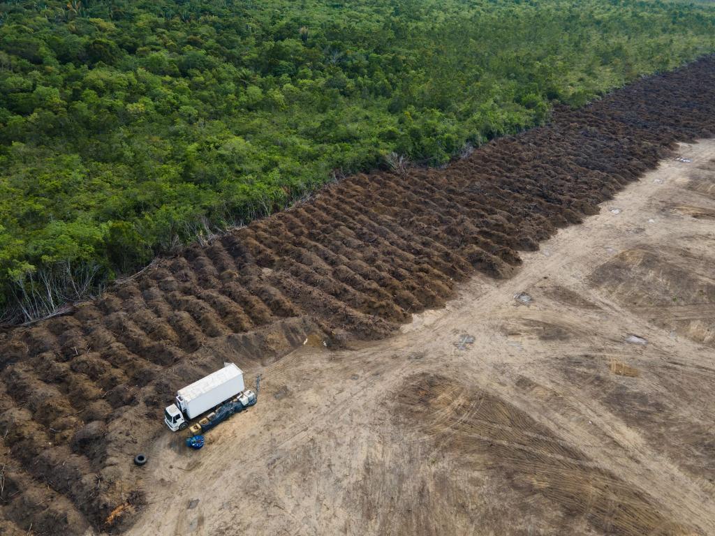 Im brasilianischen Amazonasgebiet sind seit 1985 rund 52 Millionen Hektar Natur verloren gegangen – eine Fläche größer als Spanien. (Archivbild) - Foto: Fernando Souza/ZUMA Press Wire/dpa