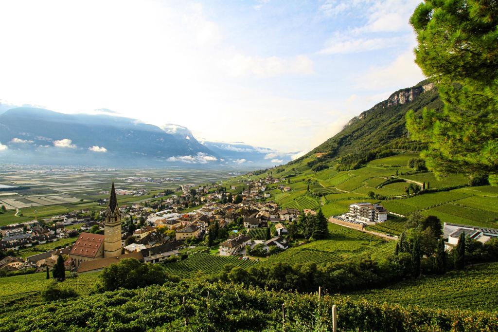  In Südtirol gibt es drei Amtssprachen: Deutsch, Italienisch und Ladinisch. (Symbolbild) - Foto: Bernhard Krieger/dpa-tmn/dpa
