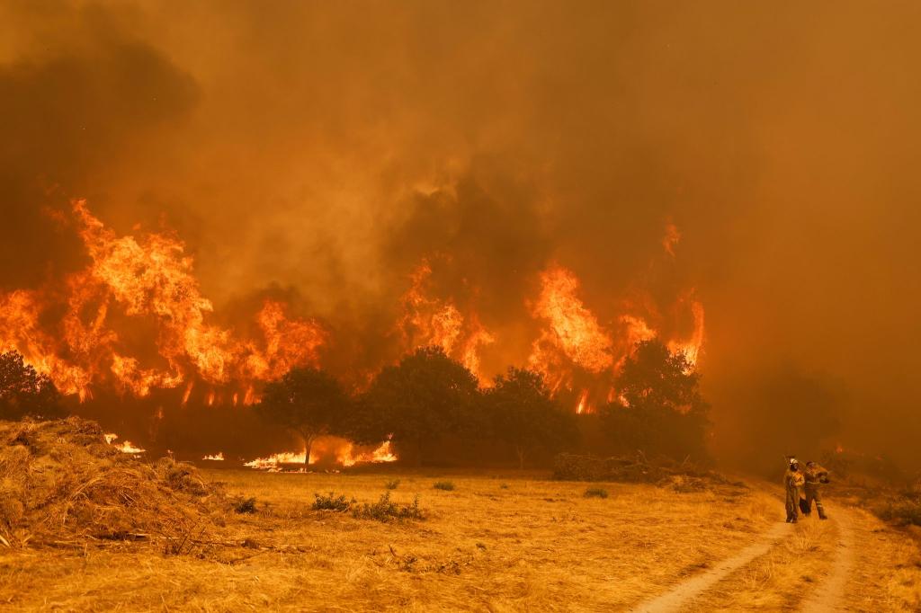 Die Brandbekämpfer sehen sich teilweise mit riesigen Feuerwänden konfrontiert, die durch stürmische Winde jederzeit blitzartig die Richtung ändern können. - Foto: Lalo R. Villar/AP/dpa
