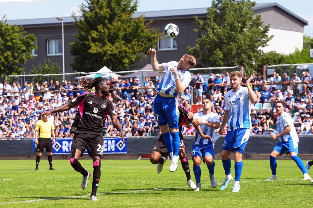 Jordan Torunarigha (li) und der HSV sehen ganz schlecht aus - Foto: Thomas Frey/dpa